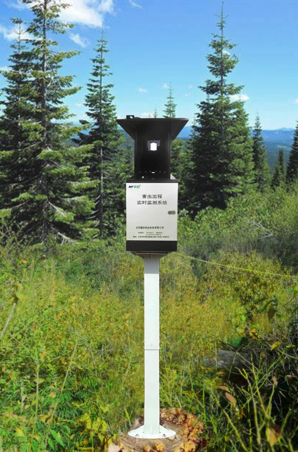 天牛監(jiān)測(cè)設(shè)備圖片1