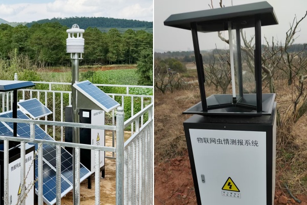 蟲(chóng)情測(cè)報(bào)燈圖片2