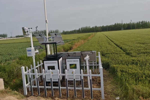 智慧園林病蟲害監(jiān)測系統(tǒng)圖片3