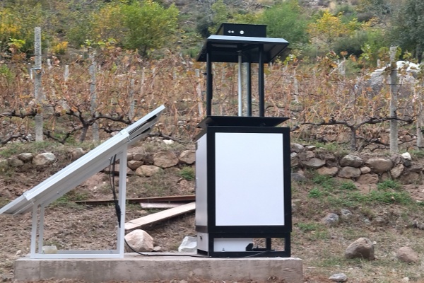 蟲情測(cè)報(bào)燈圖片3