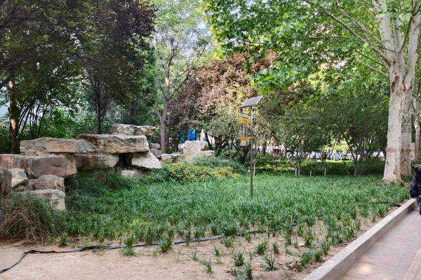 物聯(lián)網(wǎng)殺蟲燈圖片4