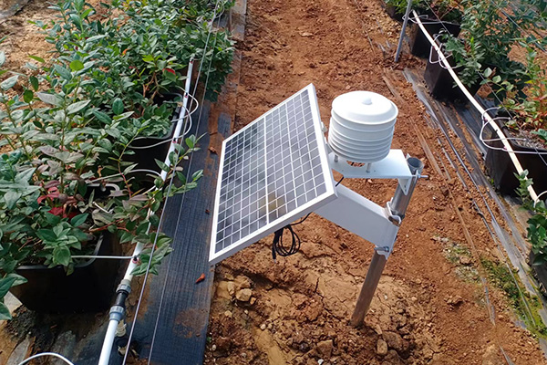 自動(dòng)氣象站圖片3