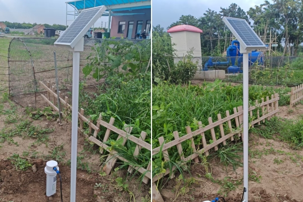 土壤水分監(jiān)測(cè)系統(tǒng)圖片2