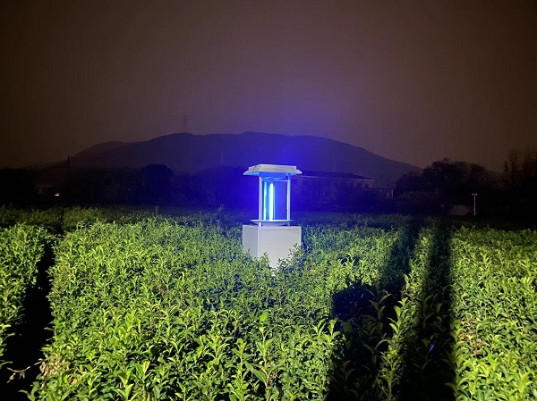 AI蟲情自動識別系統(tǒng)圖片2