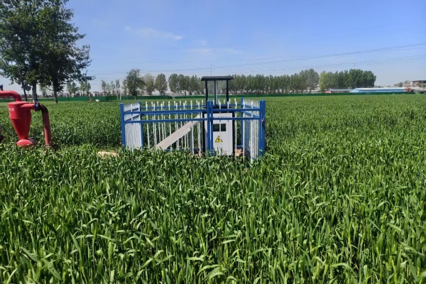 數(shù)字植?；A(chǔ)設(shè)施圖片1