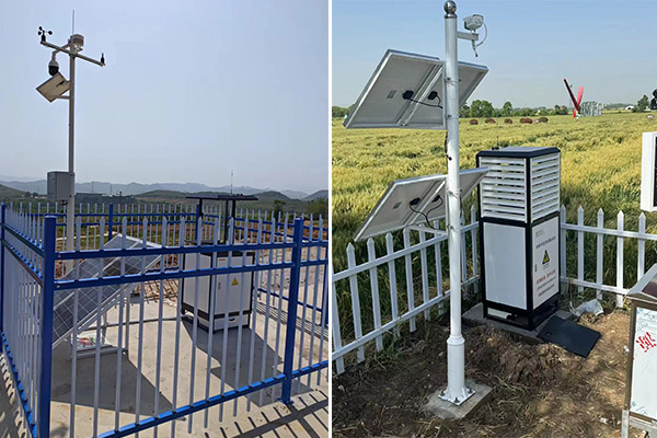 數(shù)字植?；A(chǔ)設(shè)施圖片4